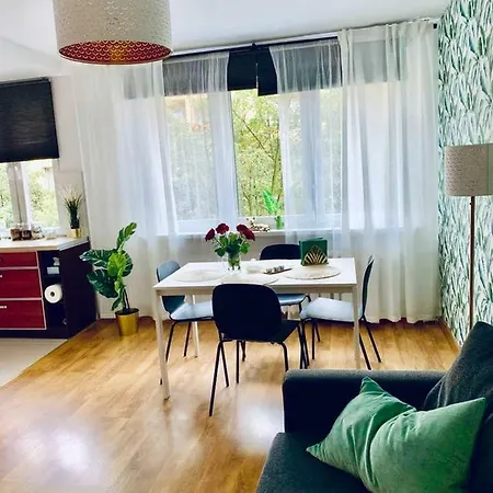 Apartment 42m2 Delux 4