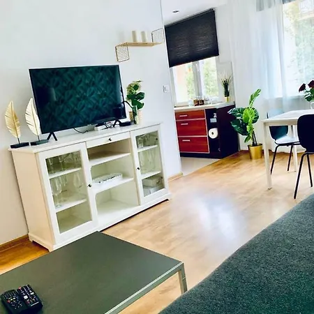 42m2 Delux 4